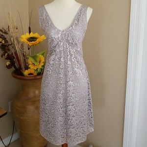 The Limited Silver Lace Dress